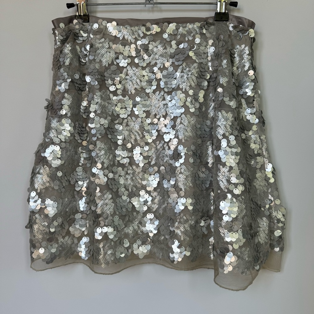 Sequin Skirt